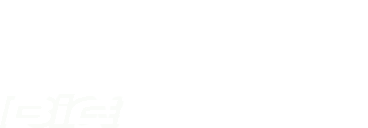 Bic Sport Logo