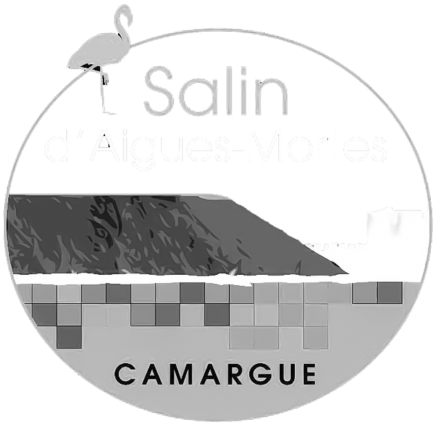 Les Salins Logo